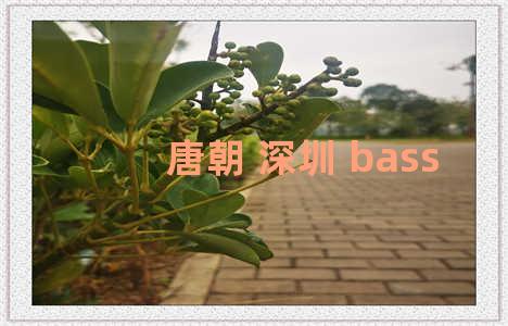 唐朝 深圳 bass